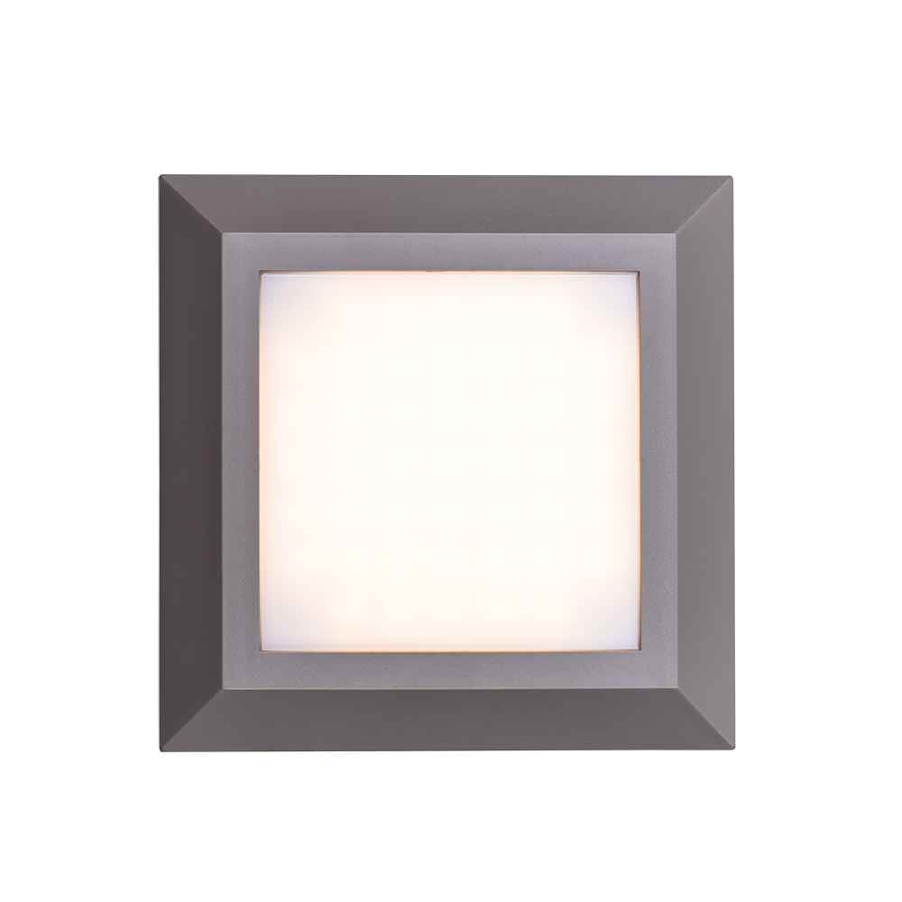 4.5W LED outdoor wall light (PS-WL38L-4.5W) 